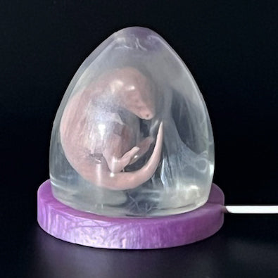 3D Printed and Resin Velociraptor Egg Statue Crystal Dinosaur Sculpture