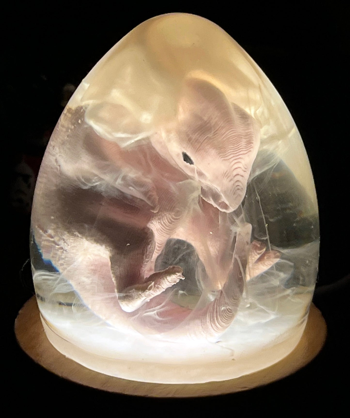3D Printed and Resin Velociraptor Egg Statue Crystal Dinosaur Sculpture