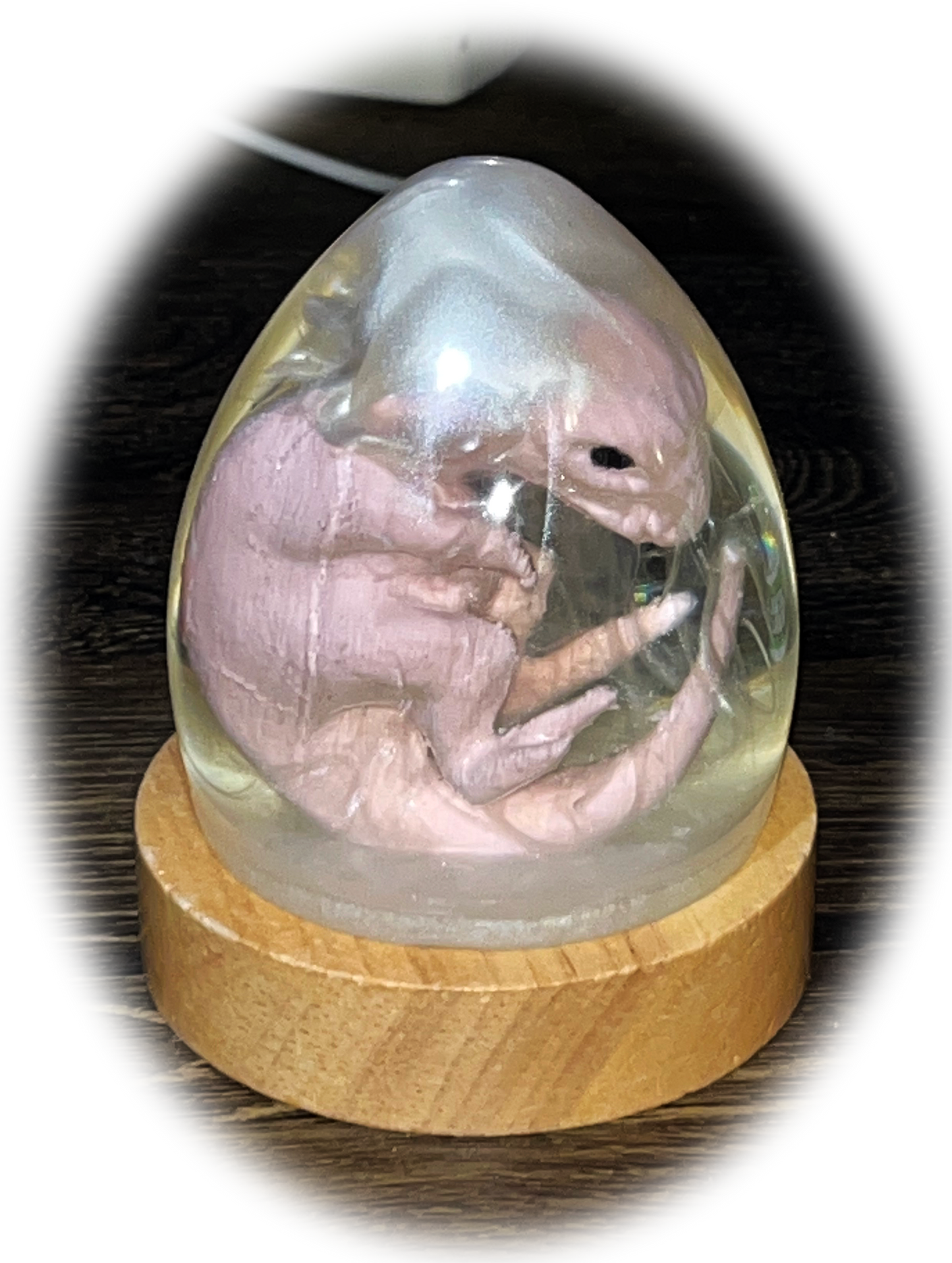 3D Printed and Resin Velociraptor Egg Statue Crystal Dinosaur Sculpture