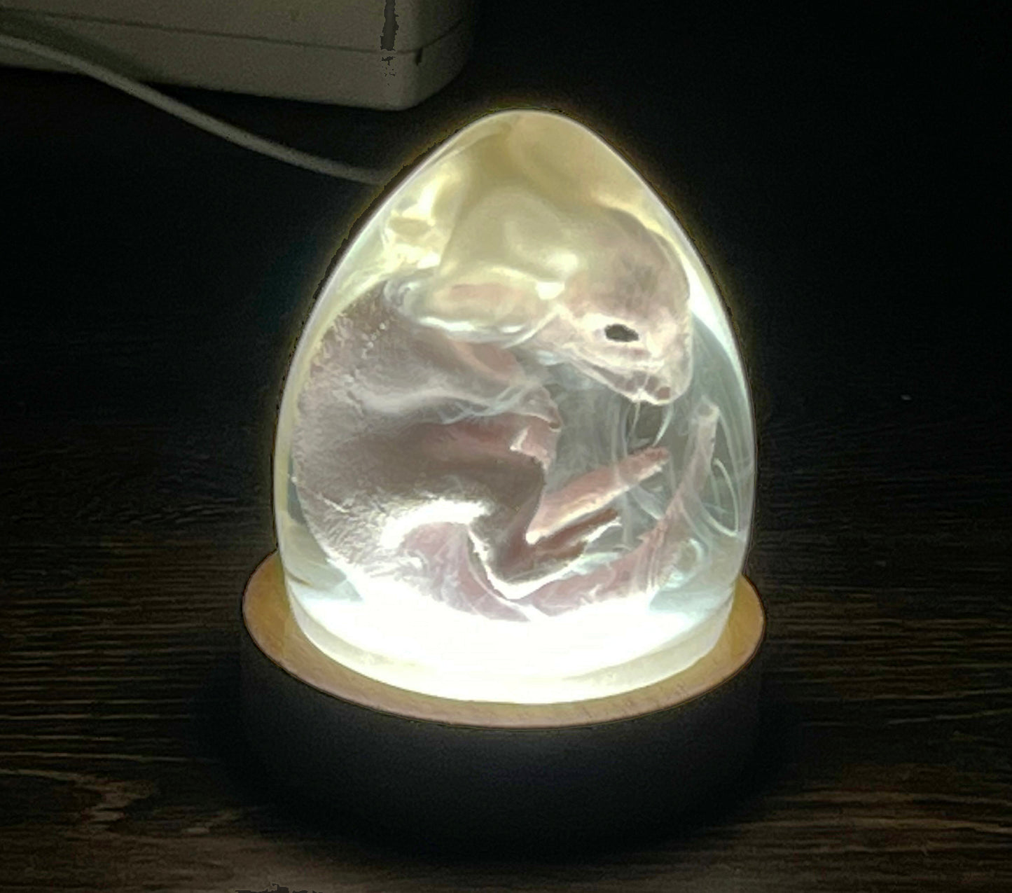 3D Printed and Resin Velociraptor Egg Statue Crystal Dinosaur Sculpture