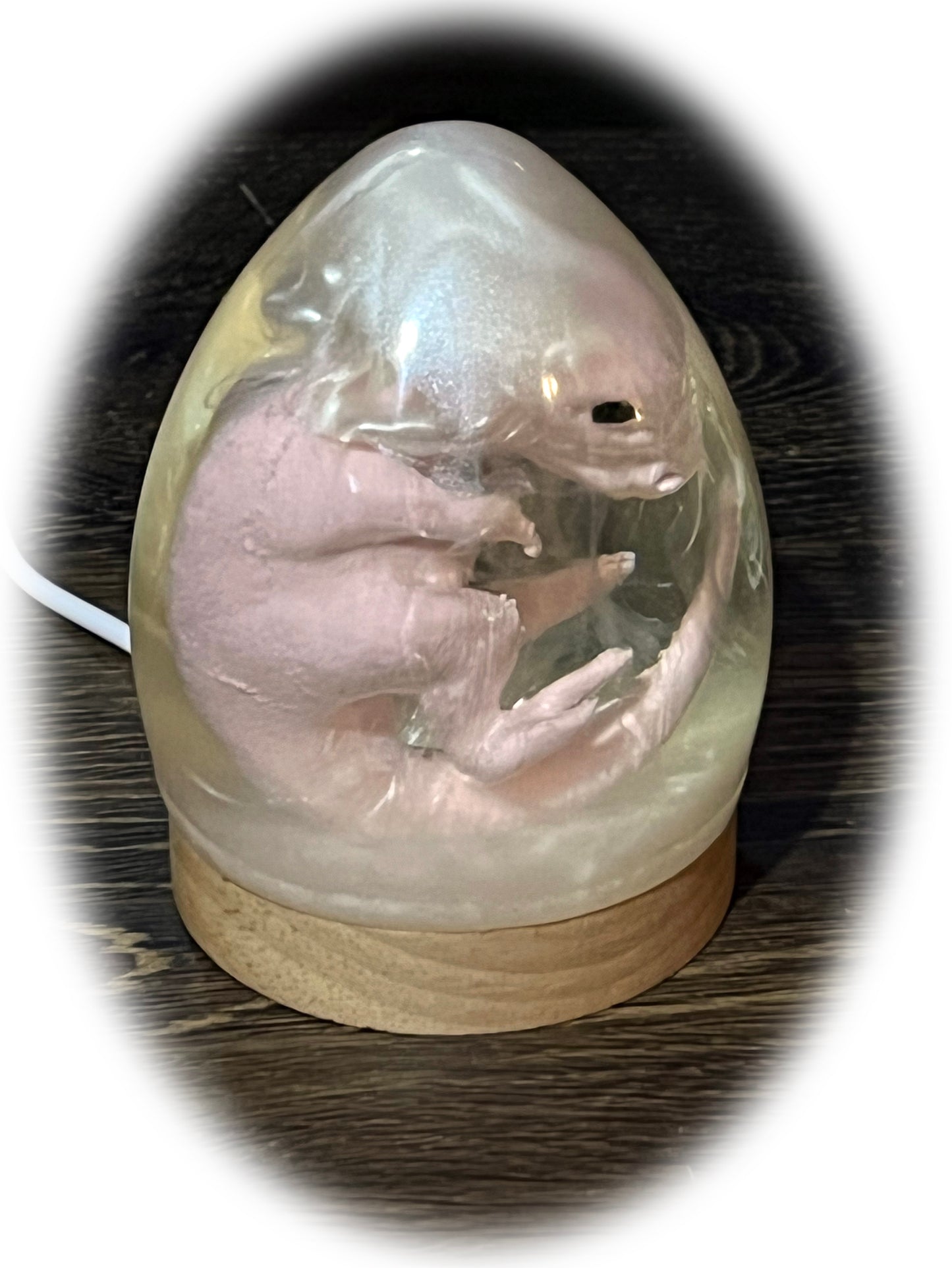 3D Printed and Resin Velociraptor Egg Statue Crystal Dinosaur Sculpture